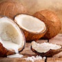 Coconut_logo